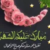 user8636062038177