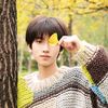 _aiden036