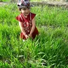 mahadi.kashmiri