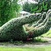 user98066108136596