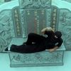 dony.doni2