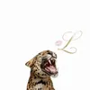 linchen700