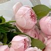 princessa0559
