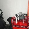 serangserang992