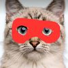 supercatd_bs