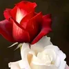 abodjax90