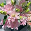 kemiuday_22