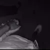 pamoo_88