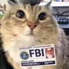 .fbi788