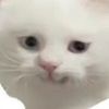 pugannn_krabbb06