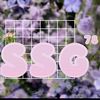 _ssg78official