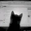 user1504202528092010