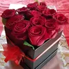 loveislamm1