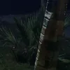 0fof8