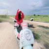 poppy.poppy229