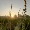 sky_00..0