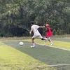 dkalop3a0