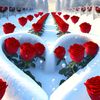 user4599050144048