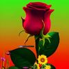 user1921439458166