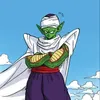 piccolo.official8