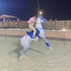 wael48641