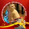 hoangdu270112