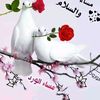 user4035672455779623896
