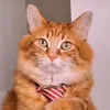 viralpets.uk