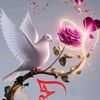 user4862363733178