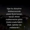 hayal4321