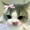 _chipdayroi44