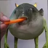 draconix28