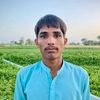 ayesha40129
