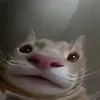 huntrix627