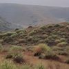 abdullah.altamimi77