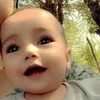 jamshed4468