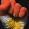 kurdstenafrin