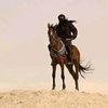...abousa3alik