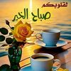 dalea.mnsor