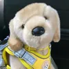 comfortstuffiee