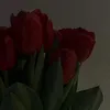 ss713s