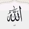 user8248337094056