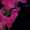 jj001425