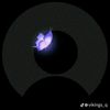 user88525666267004