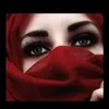 user11031224888281