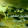 user81918246349924