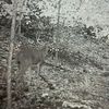 cam0726