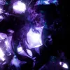 xixi.19_
