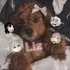 hatsunemikufan44