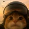 gatitoestoico777